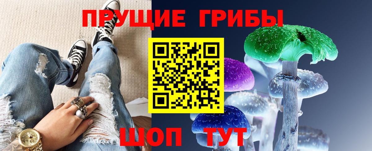 Коркино  Псилоцибиновые грибы GOLDEN TEACHER  Вход с VPN 
